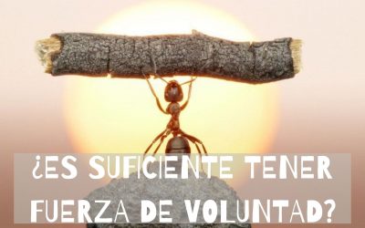 LA FUERZA DE VOLUNTAD NO ES LA RESPUESTA PARA ADELGAZAR